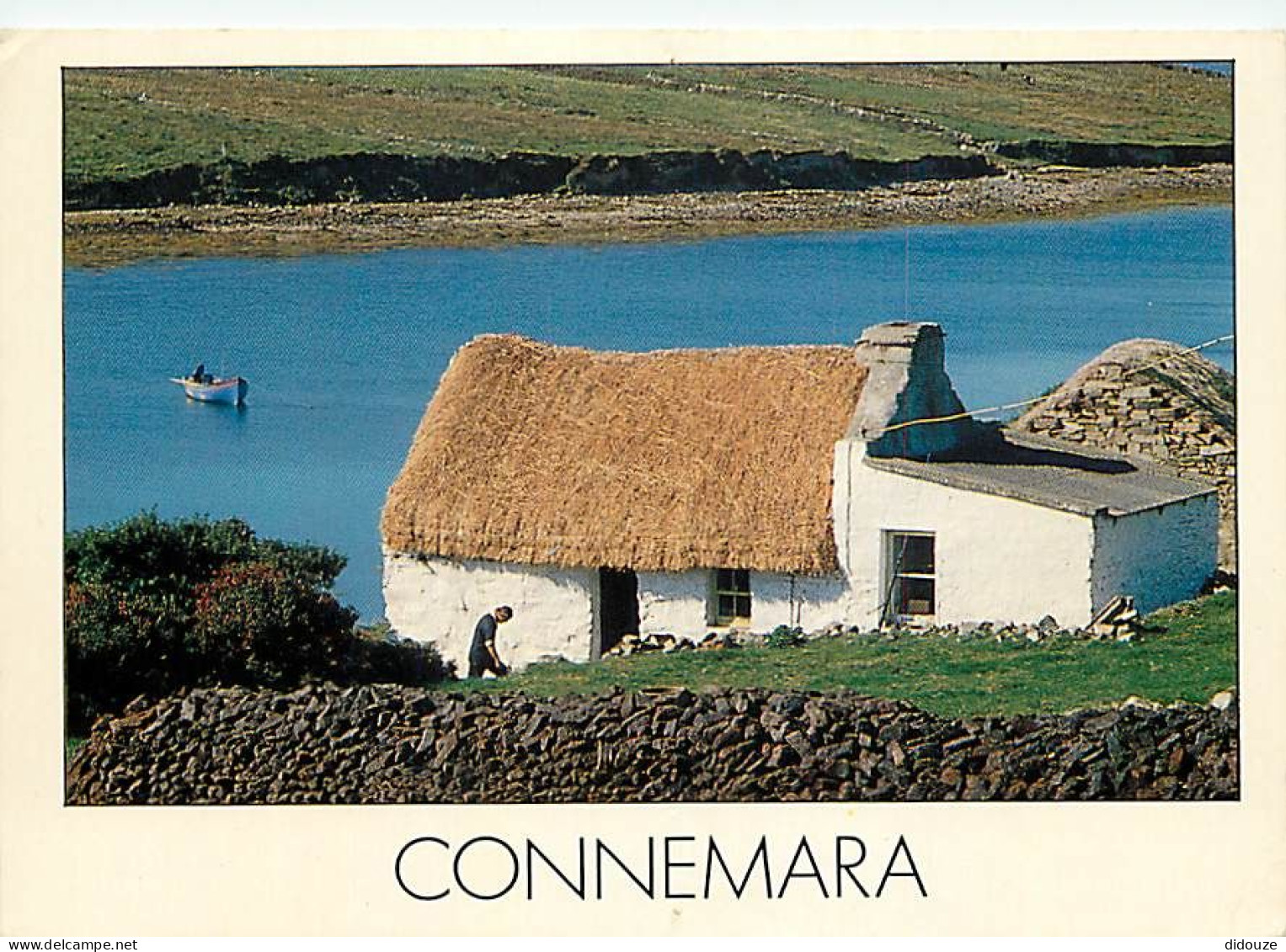 Irlande - Galway - Connemara - Typical Cottage - Paysage Irlandais - Ireland - CPM - Voir Scans Recto-Verso - Galway