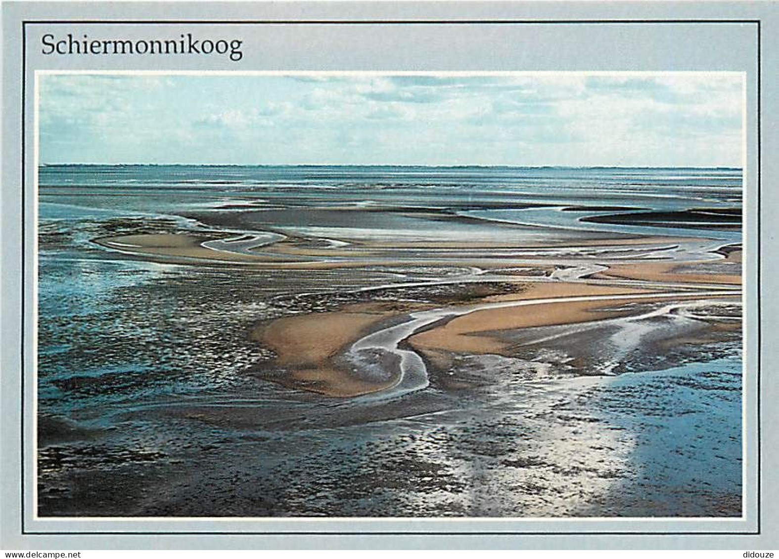 Pays-Bas - Nederland - Schiermonnikoog - Nationaal Park - CPM - Voir Scans Recto-Verso - Schiermonnikoog