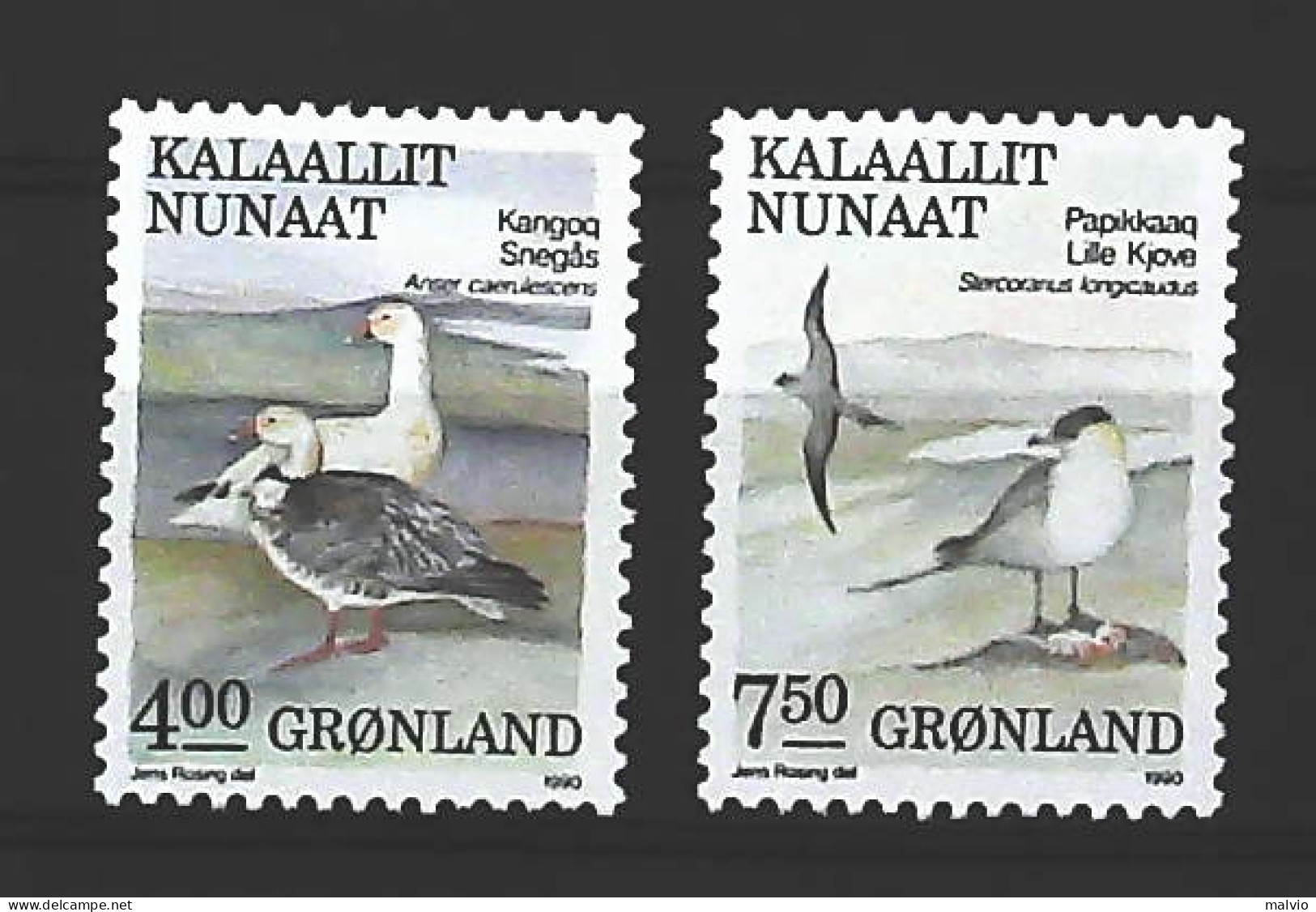 1989-Groenlandia (MNH=**) Uccelli Marini - Neufs