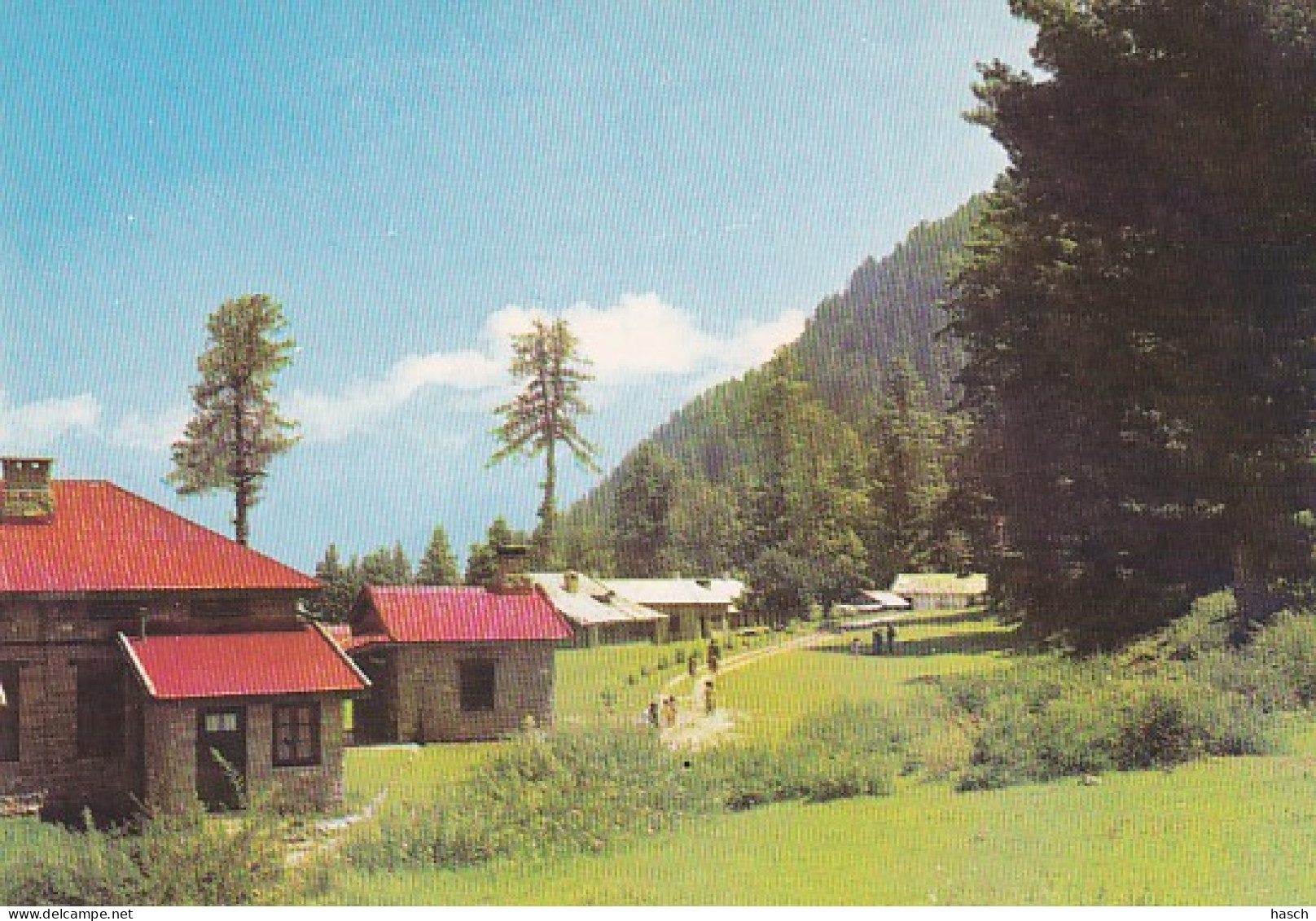 2852	136	Shogran, Kaghan Valley Pakistan Valley - Pakistán