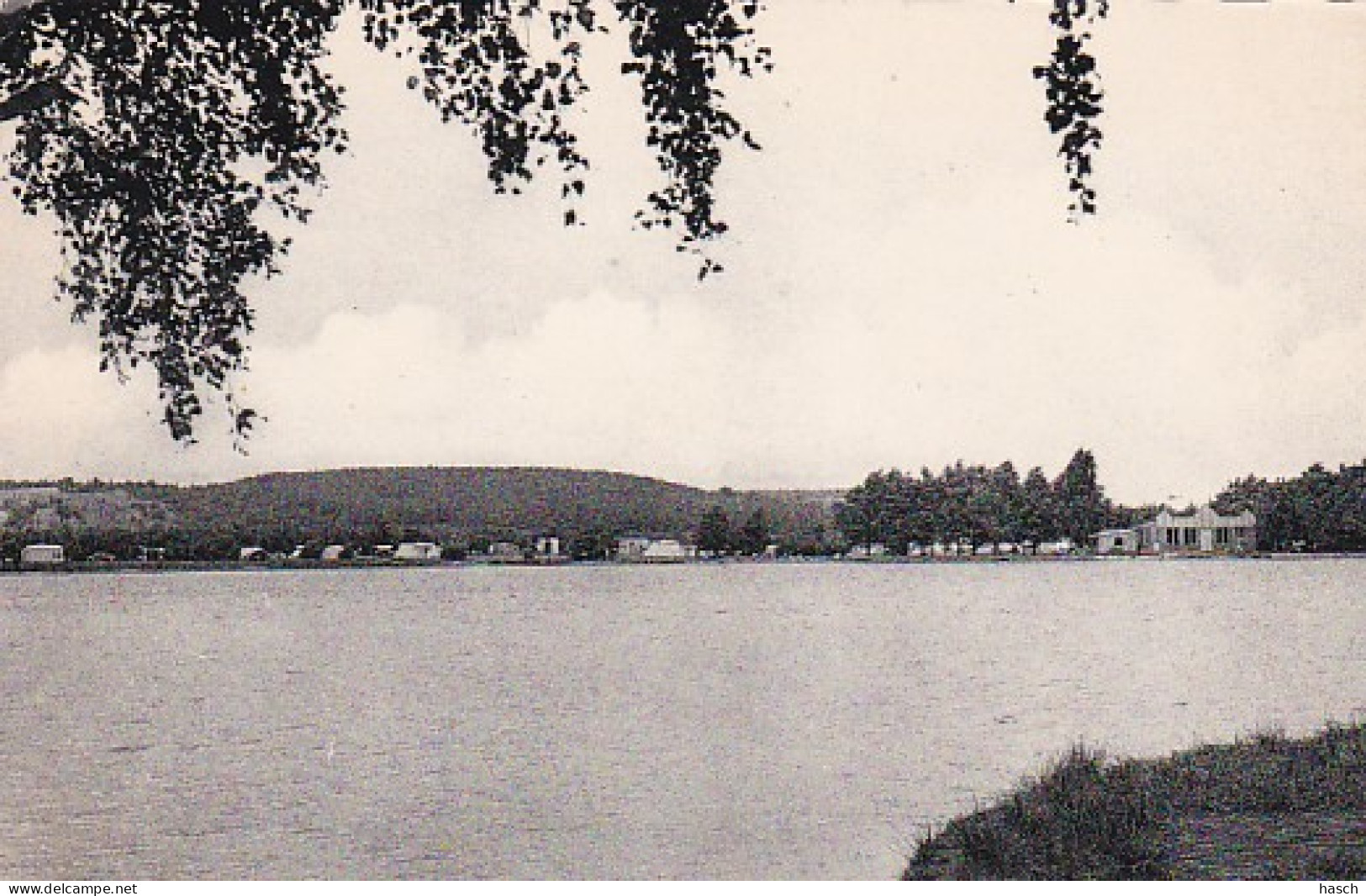 2852	185	Daalgrimbie, Panorama Van De Mooie Vijver Zie De Camping Aan De Overkant.  - Maasmechelen