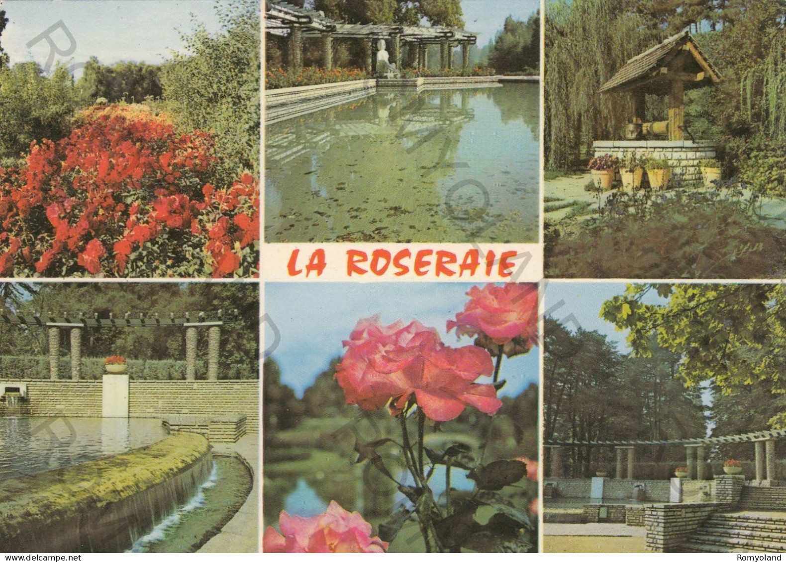 CARTOLINA  C1 LYON,AUVERGNE RHONE-ALPES,FRANCIA-LA ROSERAIE DU PARC DE LA TETE D'OR-VIAGGIATA 1974 - Bourgogne