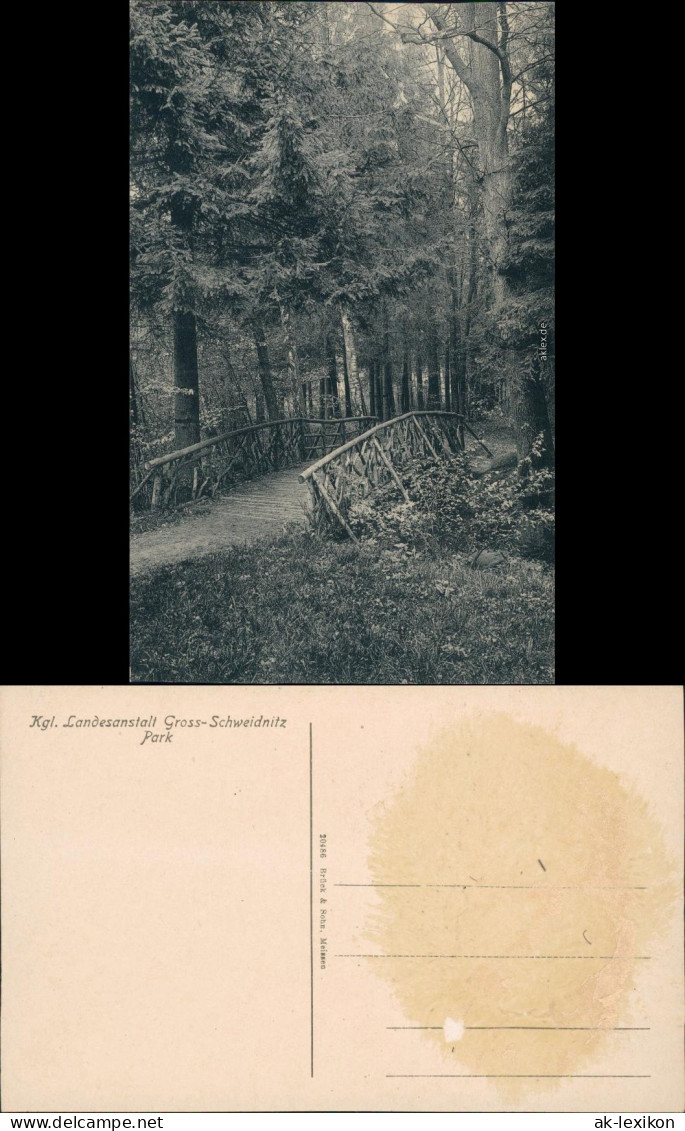 Großschweidnitz (OL) Swó&#324;ca Kgl. Landesanstalt - Park 1913  - Grossschweidnitz