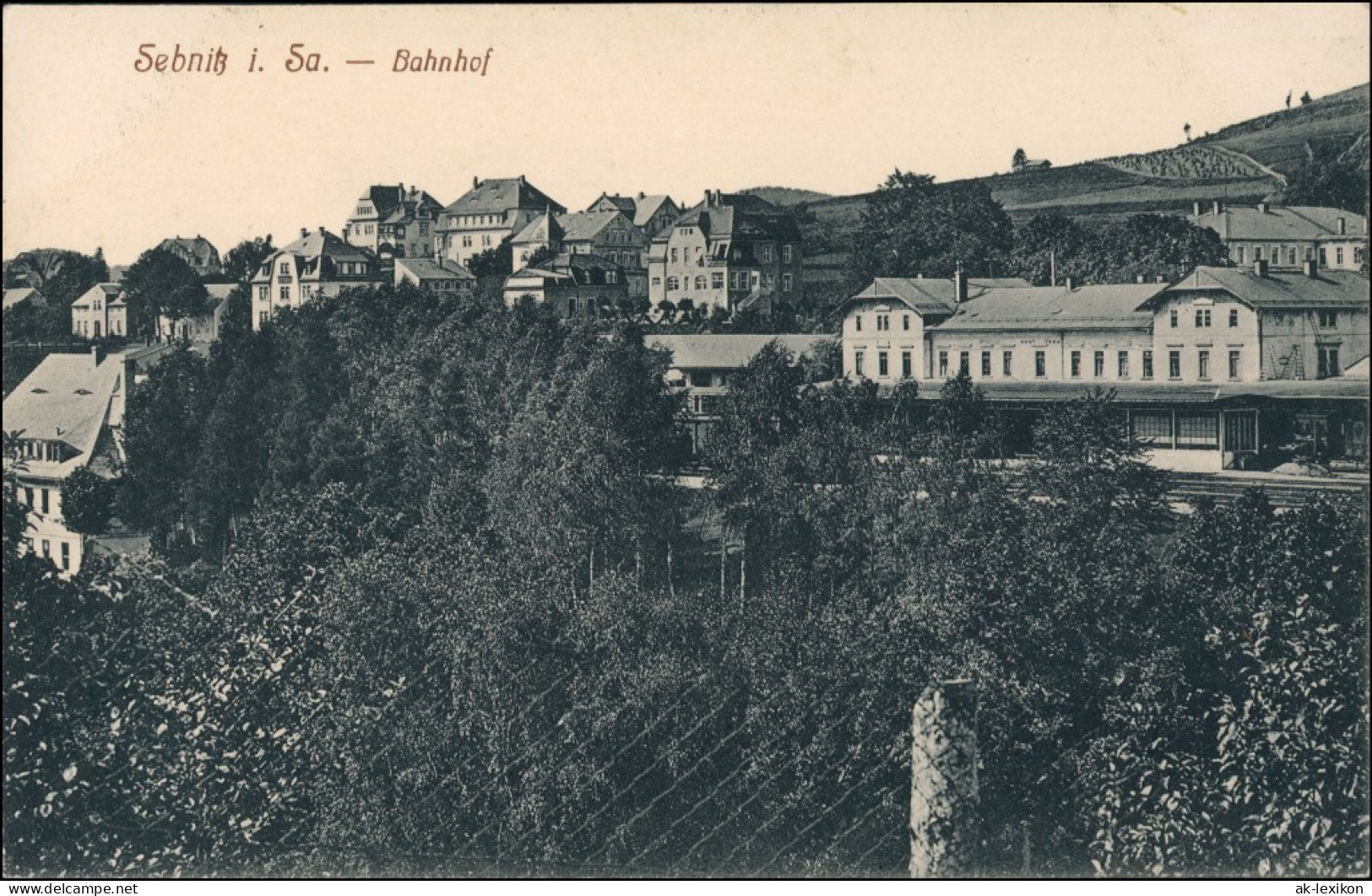 Ansichtskarte Sebnitz Bahnhof Und Stadt 1913 - Sebnitz