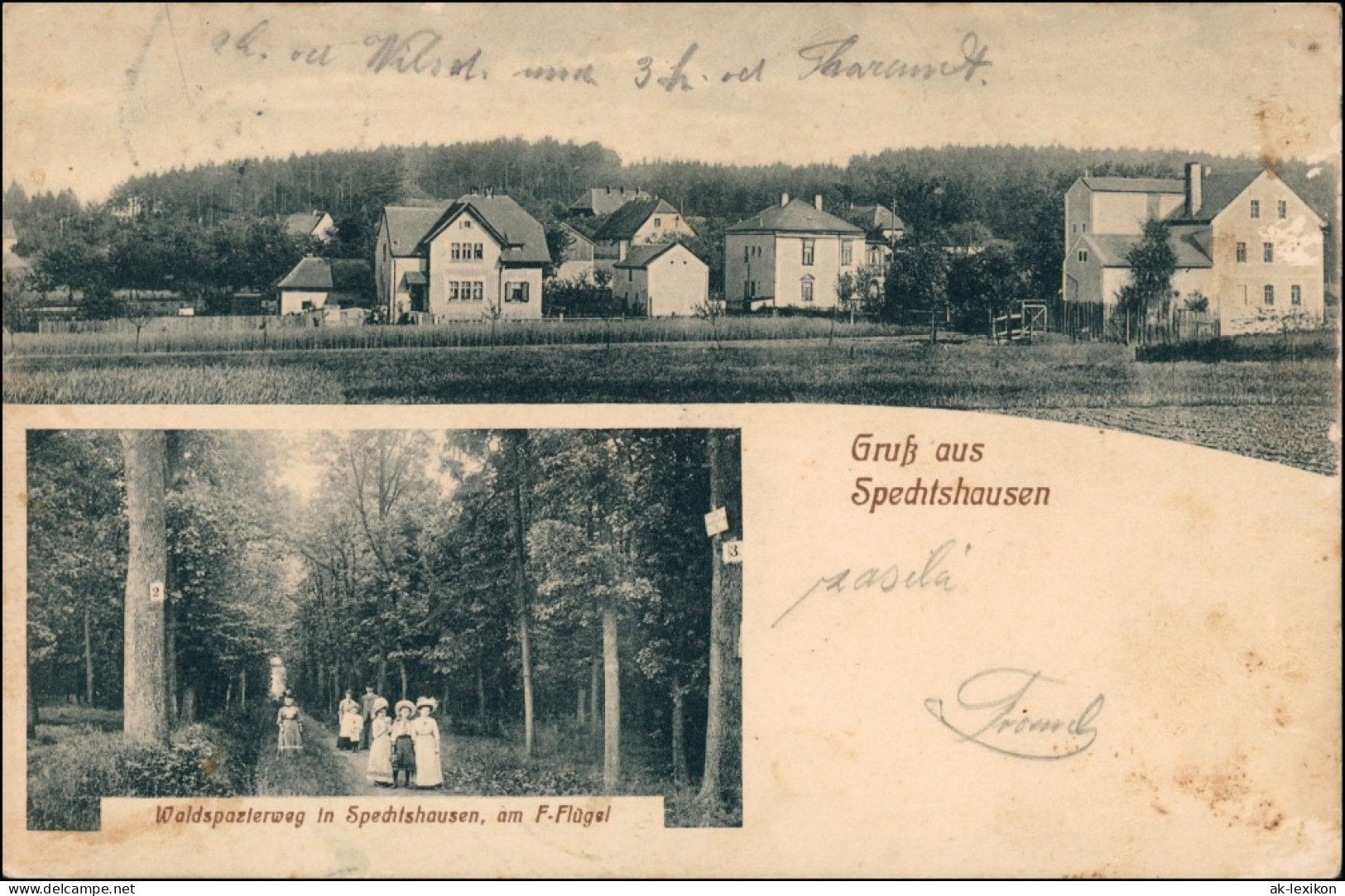 Ansichtskarte Spechtshausen-Tharandt 2 Bild Stadt Und Waldweg 1913 - Tharandt