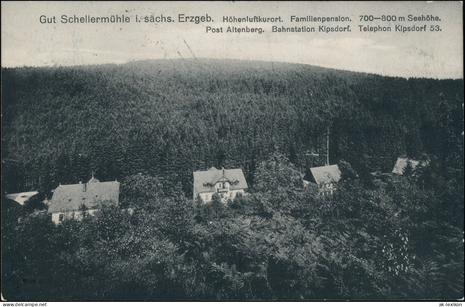 Ansichtskarte Schellerhau-Altenberg (Erzgebirge) Schellermühle 1912 - Schellerhau