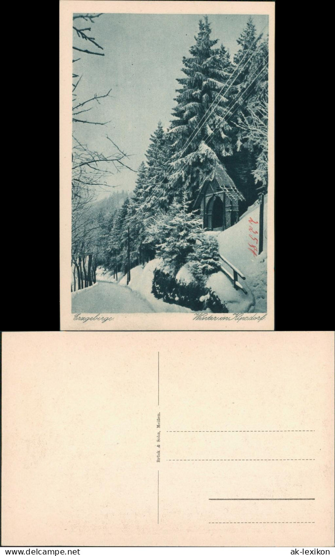 Kipsdorf-Altenberg (Erzgebirge) Winter Im Erzgebirge Station 1928 - Kipsdorf