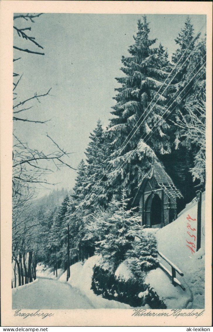 Kipsdorf-Altenberg (Erzgebirge) Winter Im Erzgebirge Station 1928 - Kipsdorf