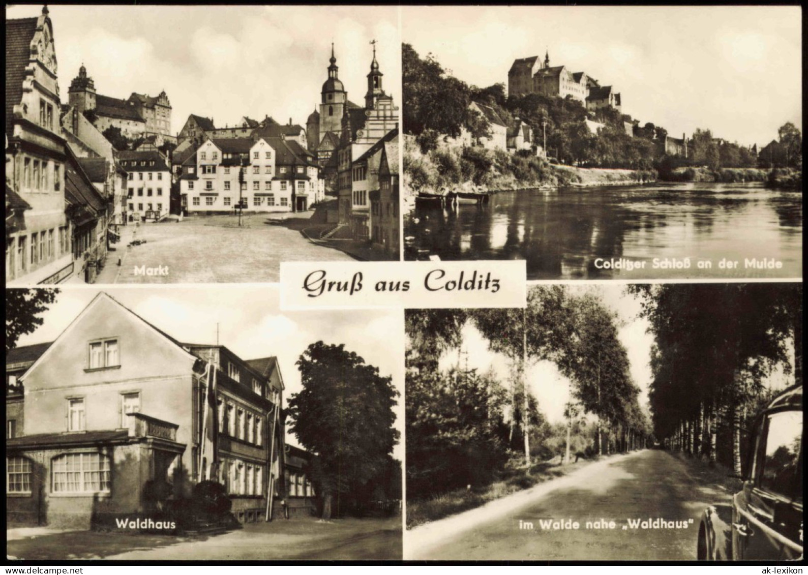 Colditz DDR Mehrbild-AK U.a. Mit Handwerkerheim Waldhaus, Schloss Uvm. 1969 - Colditz