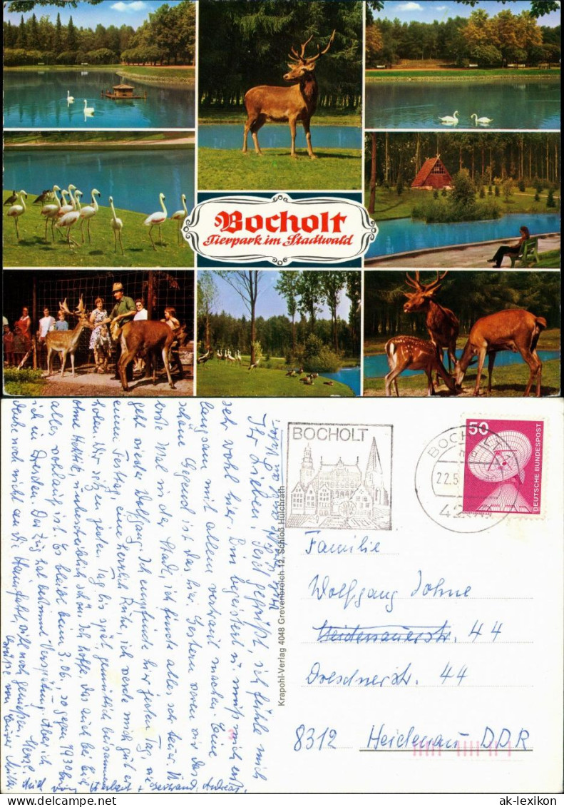 Bocholt (Westfalen) Tierpark (Zoo) Mehrbild-AK 8 Ansichten Tiere 1980 - Bocholt