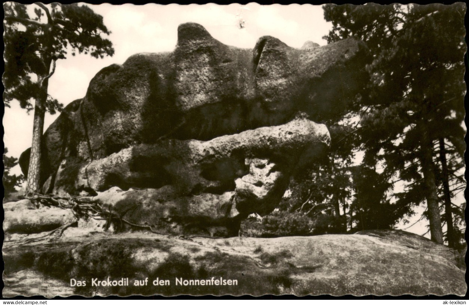 Jonsdorf Das Krokodil Auf Den Nonnenfelsen Zittauer Gebirge 1962 - Jonsdorf