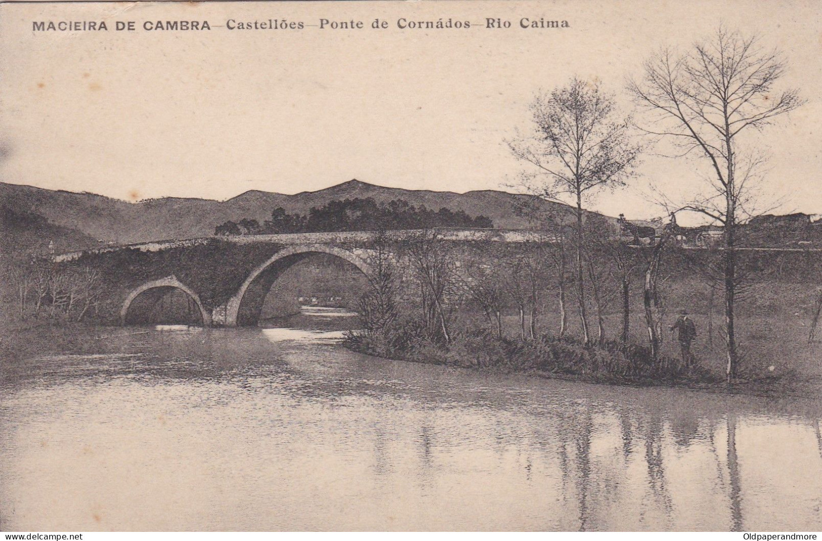 POSTCARD PORTUGAL - MACIEIRA DE CAMBRA - CASTELÕES - PONTE DE CORNÁDOS - RIO CAIMA - Aveiro