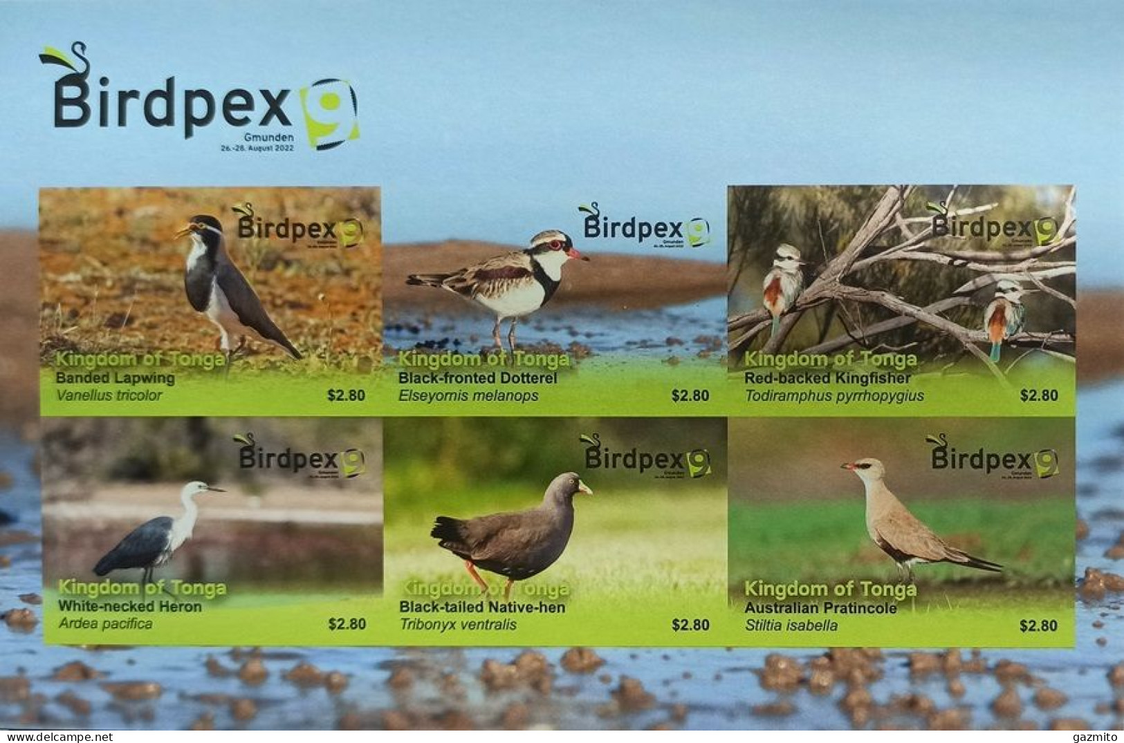 Tonga 2022, Birdpex, Kingfisher, Heron, 6val In BF IMPERFORATED - Albatrosse & Sturmvögel