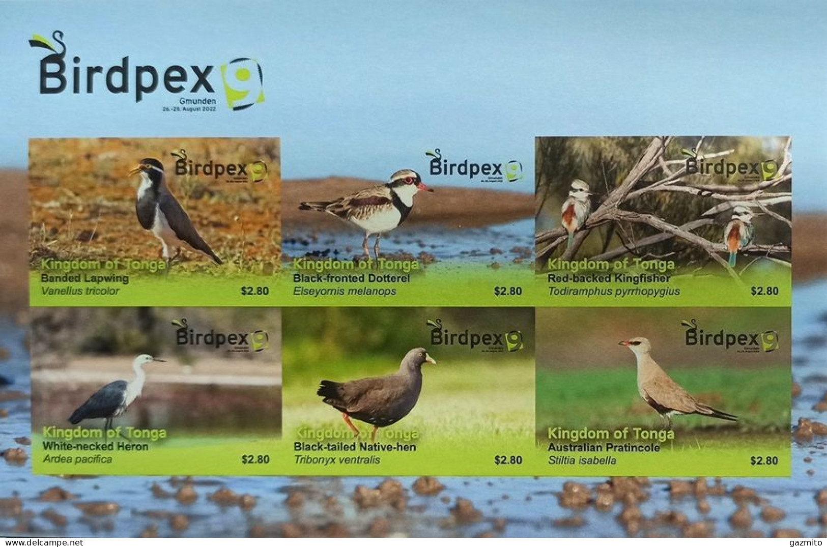 Tonga 2022, Birdpex, Kingfisher, Heron, 6val In BF IMPERFORATED - Storchenvögel