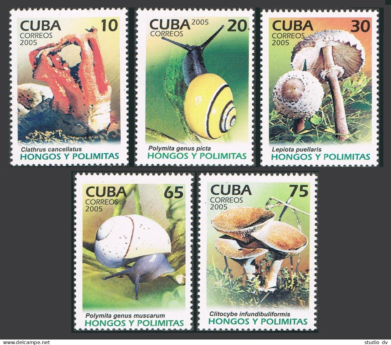 Cuba 4551-4555,4556,MNH. Snails And Mushrooms,2005. - Ungebraucht
