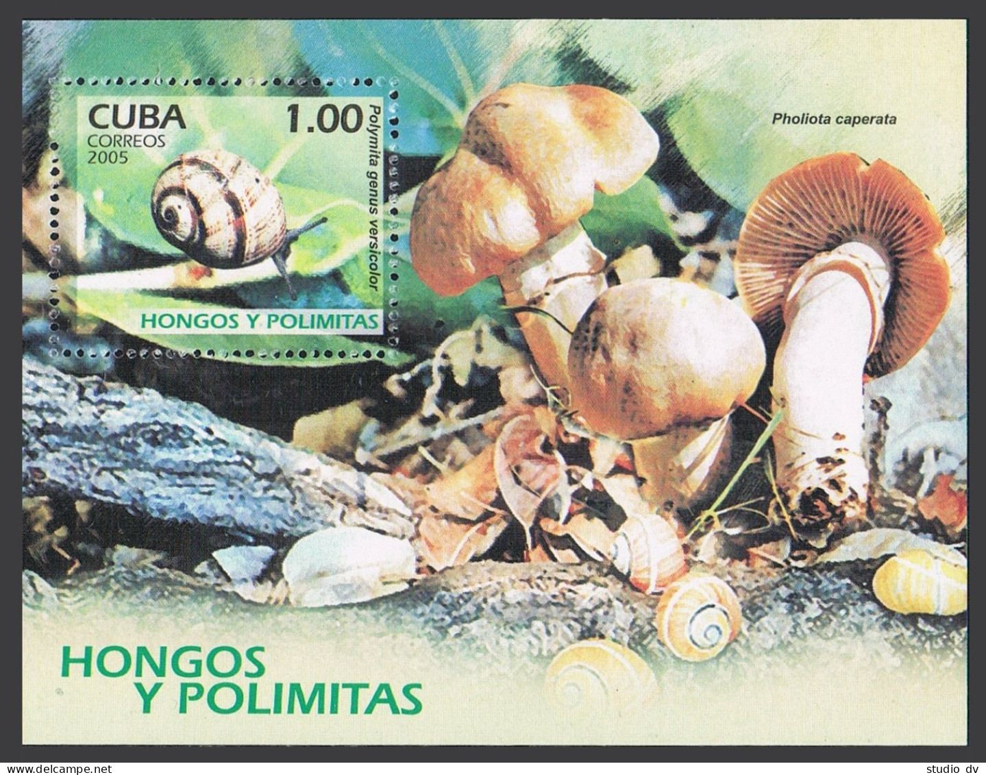 Cuba 4551-4555,4556,MNH. Snails And Mushrooms,2005. - Unused Stamps