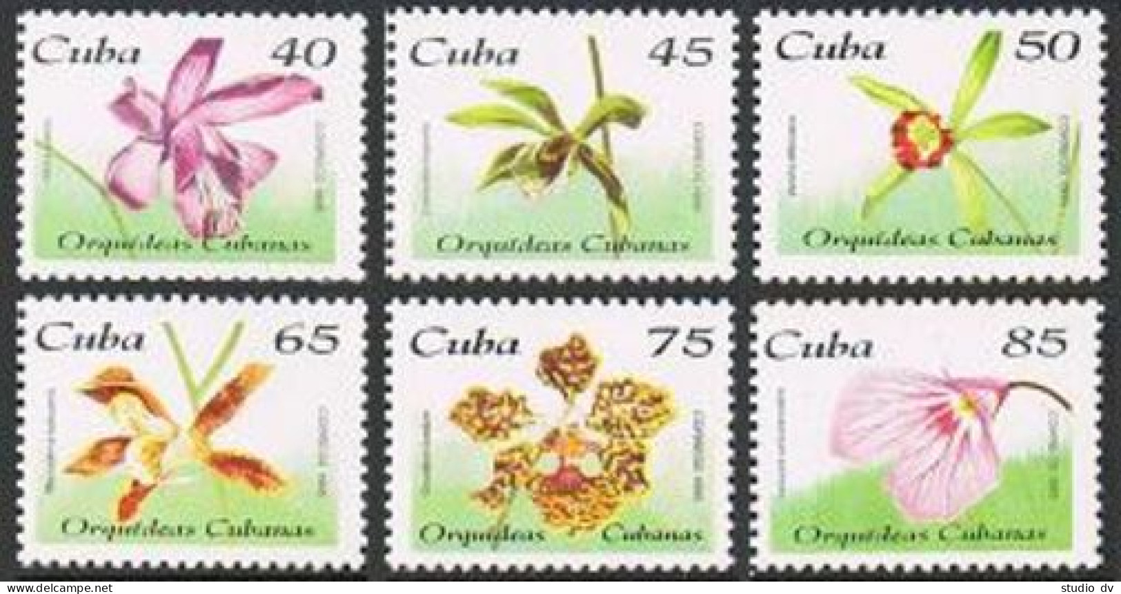 Cuba 3682-3687,MNH.Michel 3860-3865. Orchids 1995. - Unused Stamps