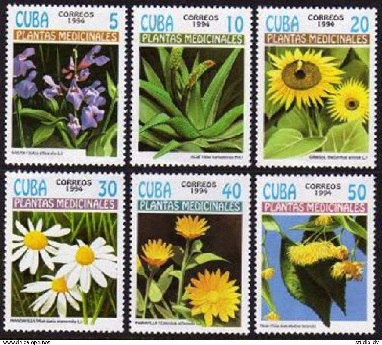 Cuba 3559-3564,MNH.Michel 3737-3742. Medicinal Plants,1994. - Unused Stamps