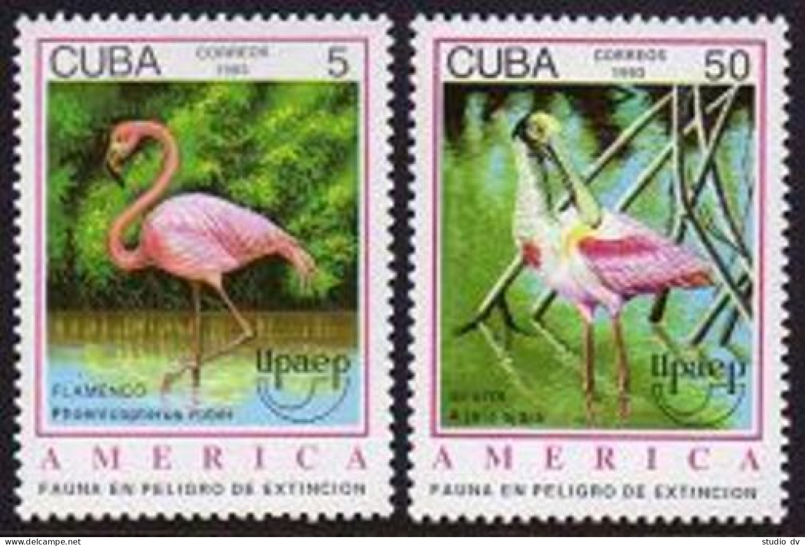 Cuba 3527-3528,MNH. Michel 3705-3706. Birds 1993. Proenicopterus Ruber, Ajaia.  - Neufs