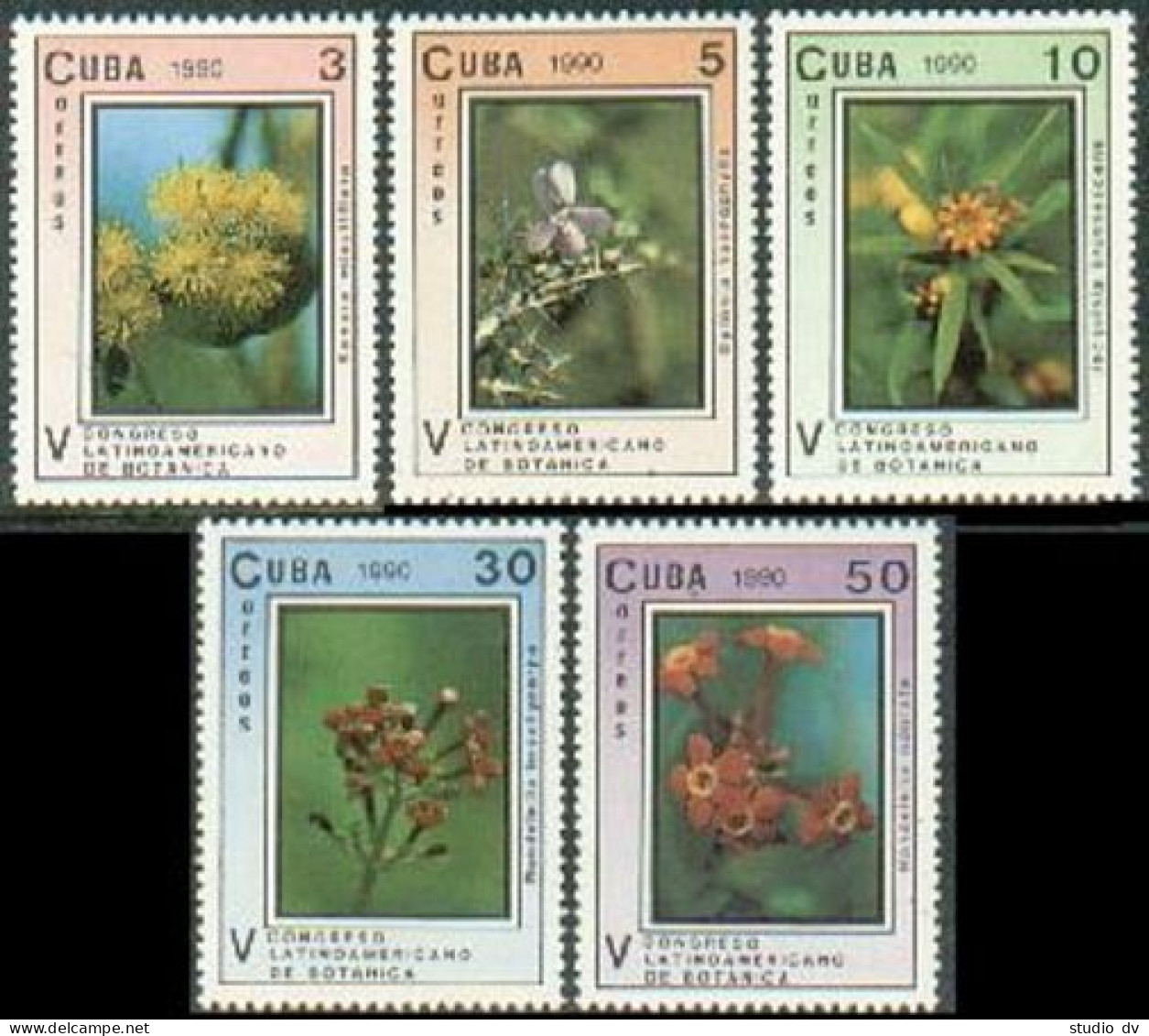 Cuba 3228-3232, MNH. Michel 3393-3397. Botanical Conference 1990, Flowers. - Ongebruikt