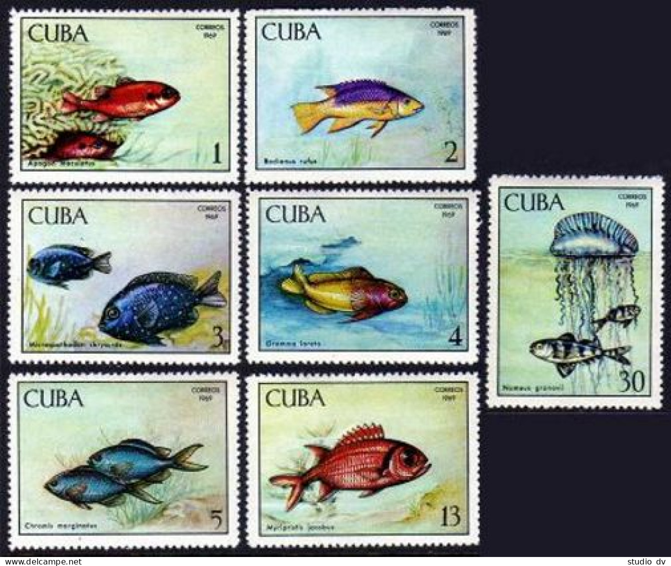 Cuba 1414-1420,MNH.Michel 1483-1489. Fish,1969.Apogon Maculatus,bodianus Rufus, - Nuovi