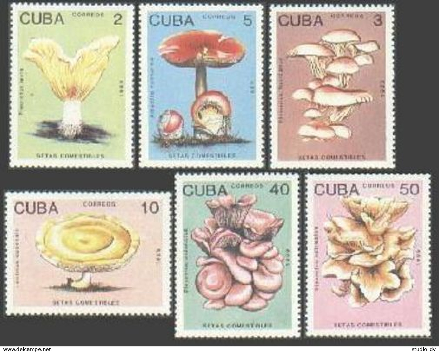 Cuba 3094-3099, MNH. Michel 3257-3262. Mushrooms 1989. - Nuevos