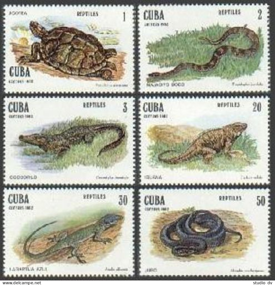 Cuba 2518-523,MNH.Michel 2667-2672. 1982.Turtle,Snakes,Iguana,Crocodile,Lizard. - Neufs