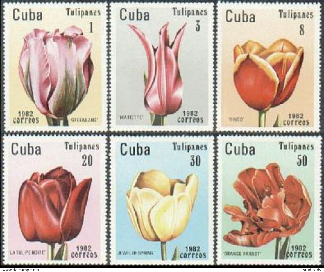 Cuba 2494-2499,MNH.Michel 22643-2648. Tulips 1982. - Unused Stamps
