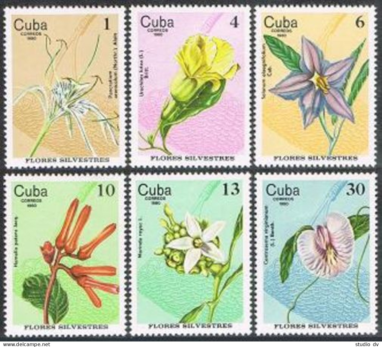 Cuba 2369-2374,MNH.Michel 2518-2523. Wildflowers 1980. - Unused Stamps