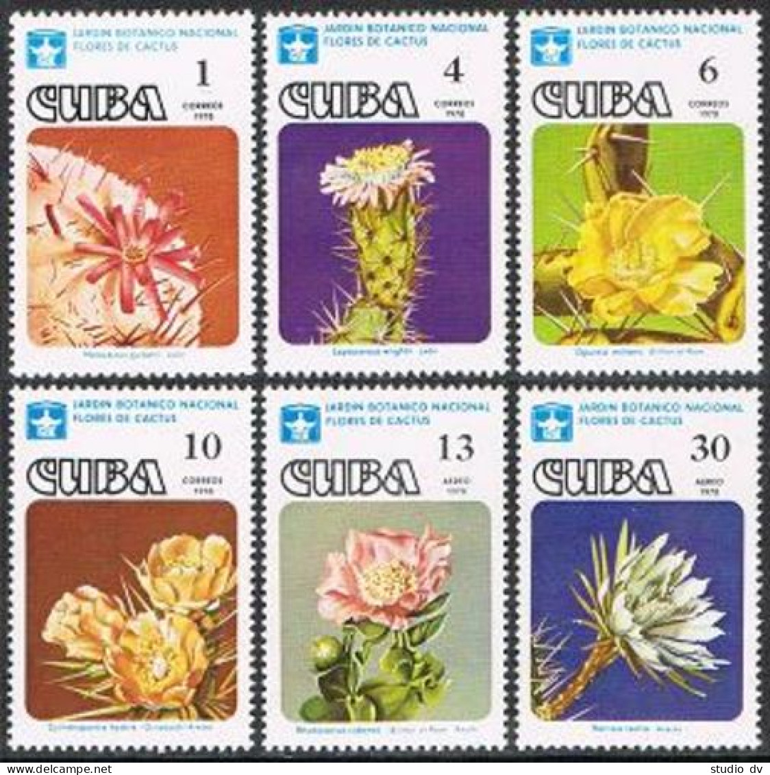 Cuba 2188-2191,C281-C282,MNH.Michel 2294-2299. Cactus Flowers 1978. - Nuovi