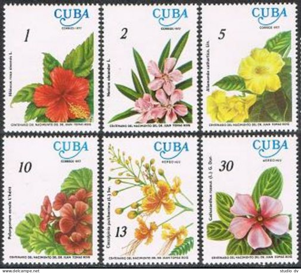 Cuba 2140-C253, C254, MNH.Mi 2217-2222, Bl.51. Dr Tomas Roig, Botanist. Flowers. - Nuevos
