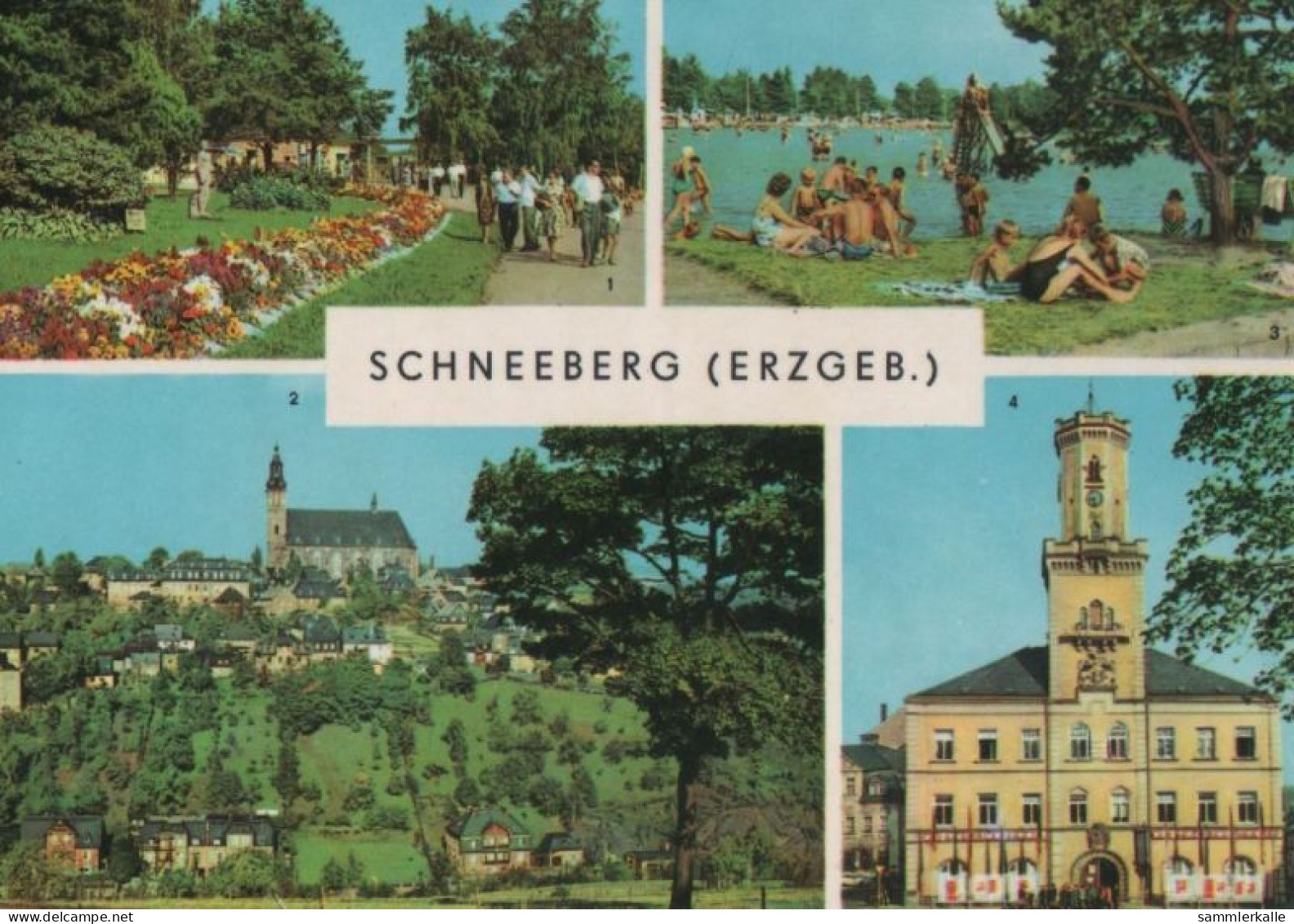 100458 - Schneeberg - U.a. Rathaus - Ca. 1980 - Schneeberg