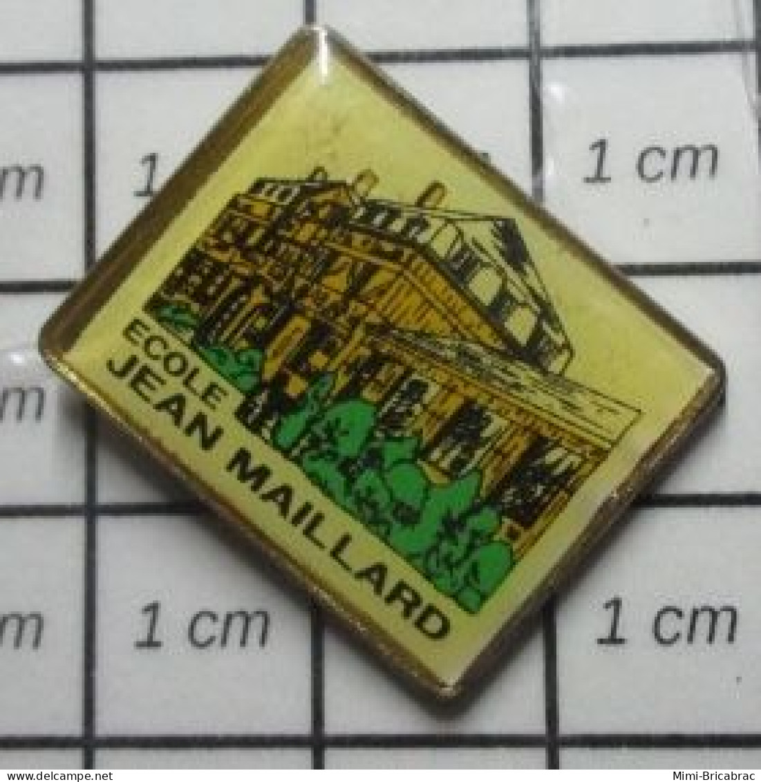1616A Pin's Pins / Beau Et Rare / ADMINISTRATIONS / ECOLE JEAN MAILLARD - Administrations