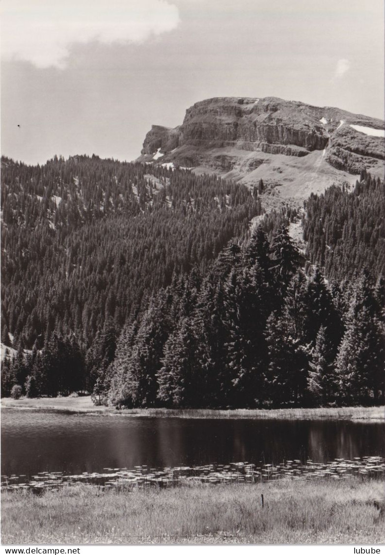 Schwendisee Mit Käserrugg Im Obertoggenburg       Ca. 1960 - Wildhaus-Alt Sankt Johann