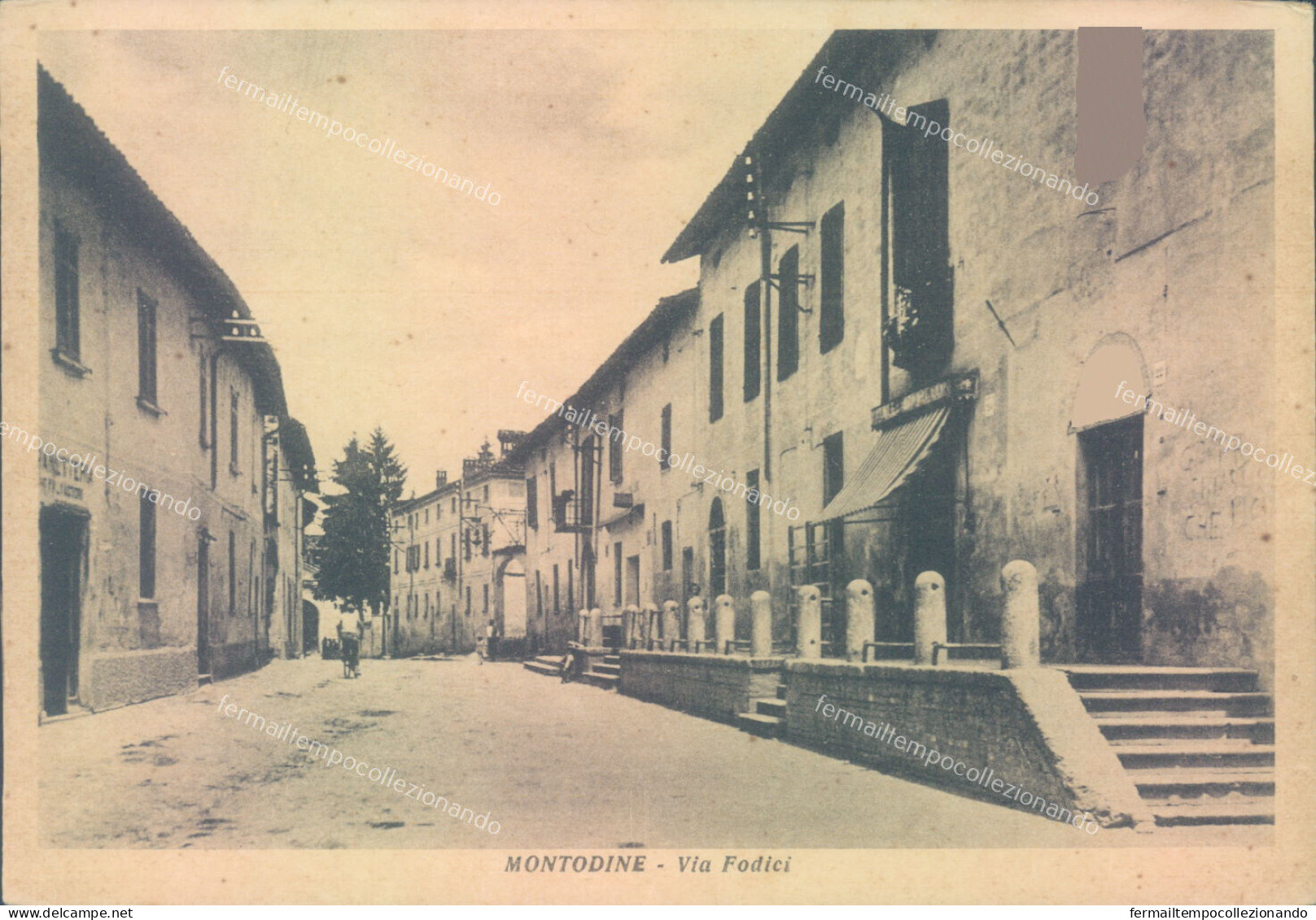 Aa578 Cartolina Mntodine Via Fodici Provincia Di Cremona - Cremona