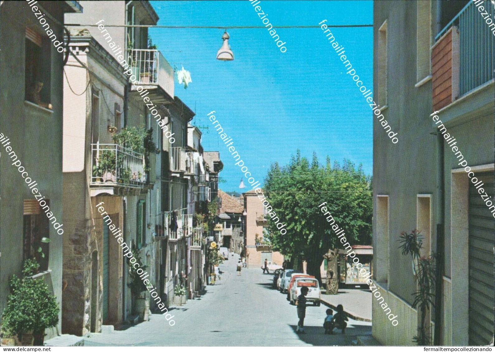 Bz461 Cartolina Riccia Via Benevento Provincia Di Campobasso Molise - Campobasso