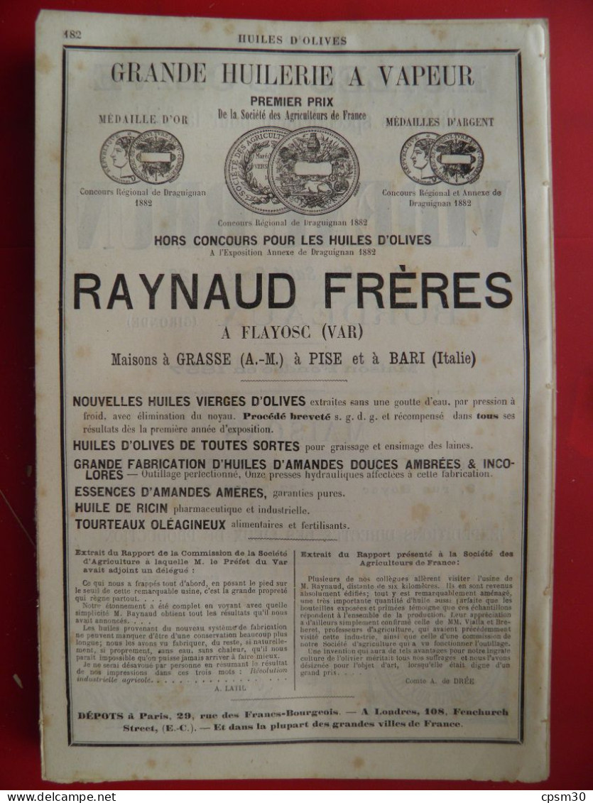 PUB 1884 - Huiles D'Olive Videau-Brun Rue St Rémi 33 Bordeaux, Raynaud 83 Var 06 Grasse & Pise Bari (Italie) - Publicités