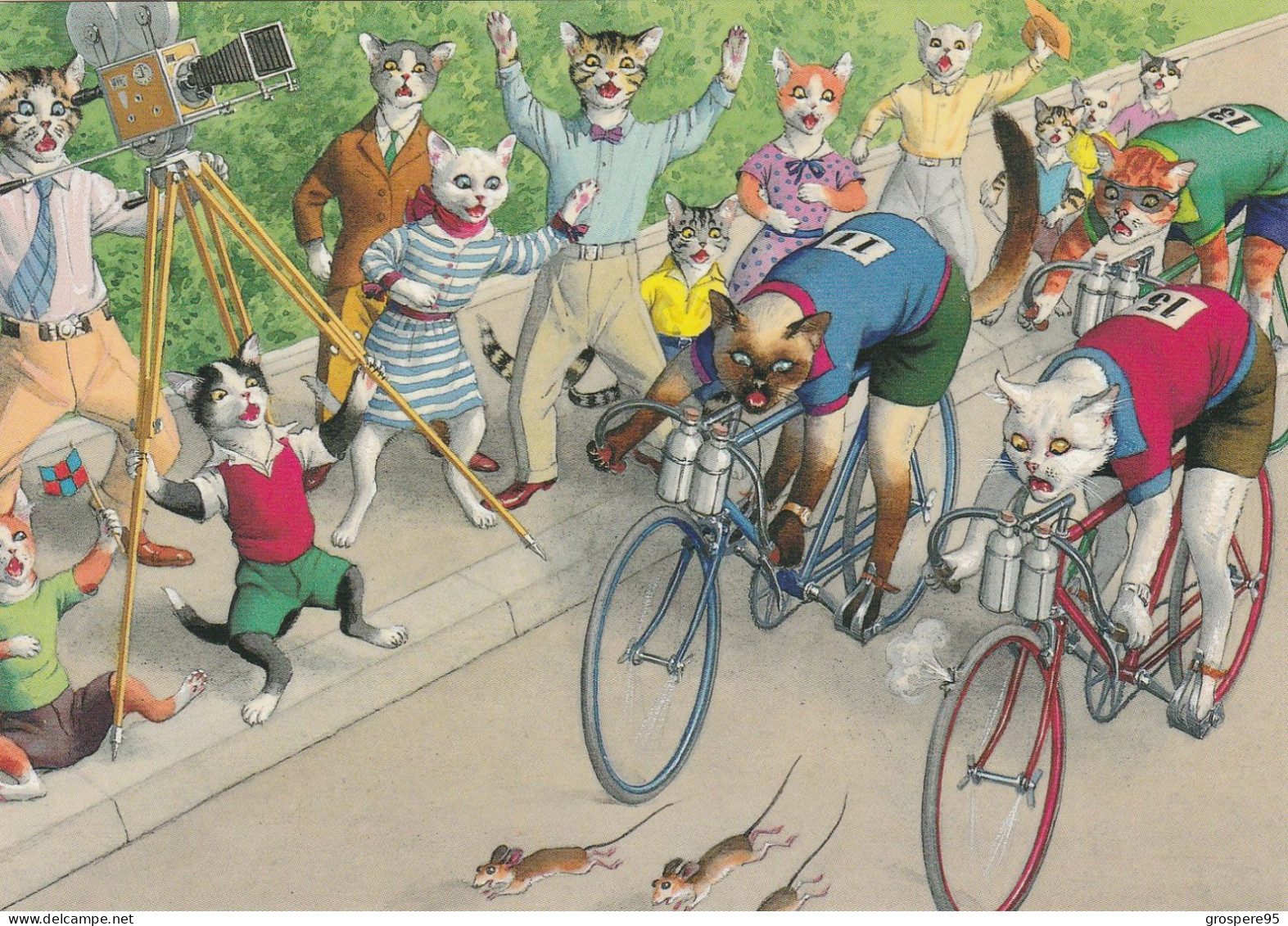 CHATS HUMANISES COURSE DE VELO EDITIONS THE FIFTIES - Gatti