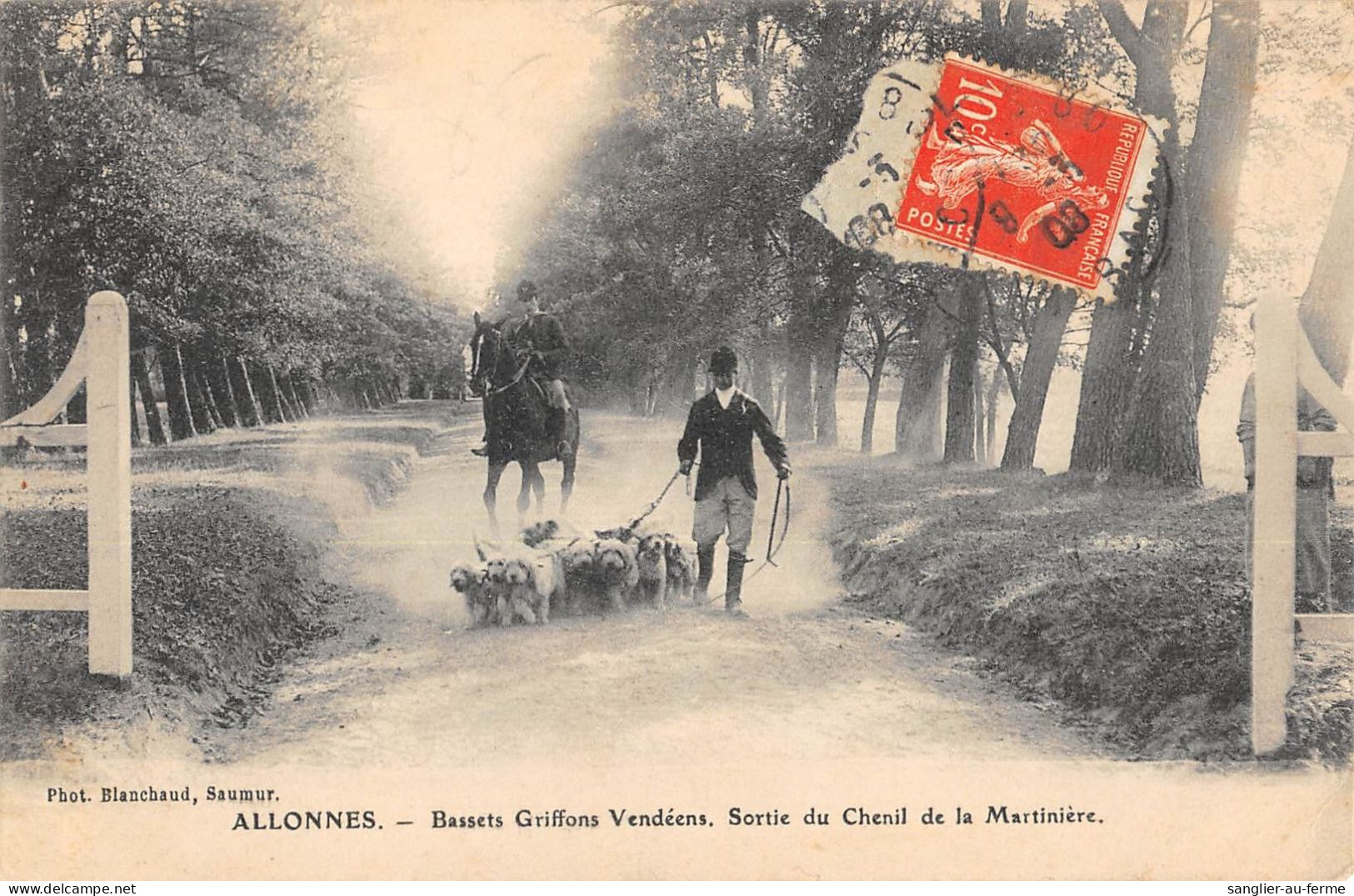 CPA 49 ALLONNES / BASSETS GRIFFONS VENDEENS / SORTIE DU CHENIL DE LA MARTINIERE - Allonnes