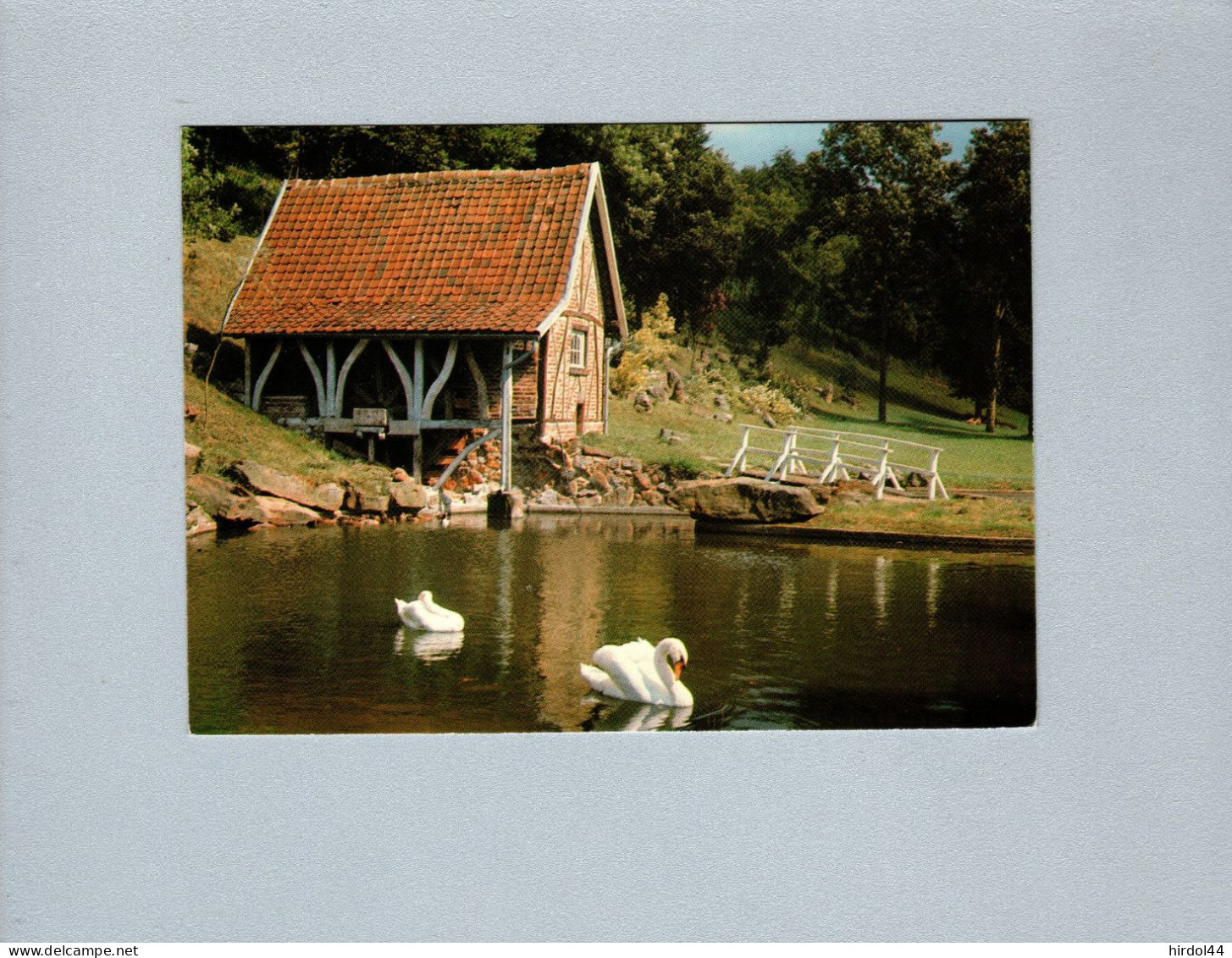 Naours (80) : Les Cygnes Au Moulin à Eau Aux Grottes - Naours