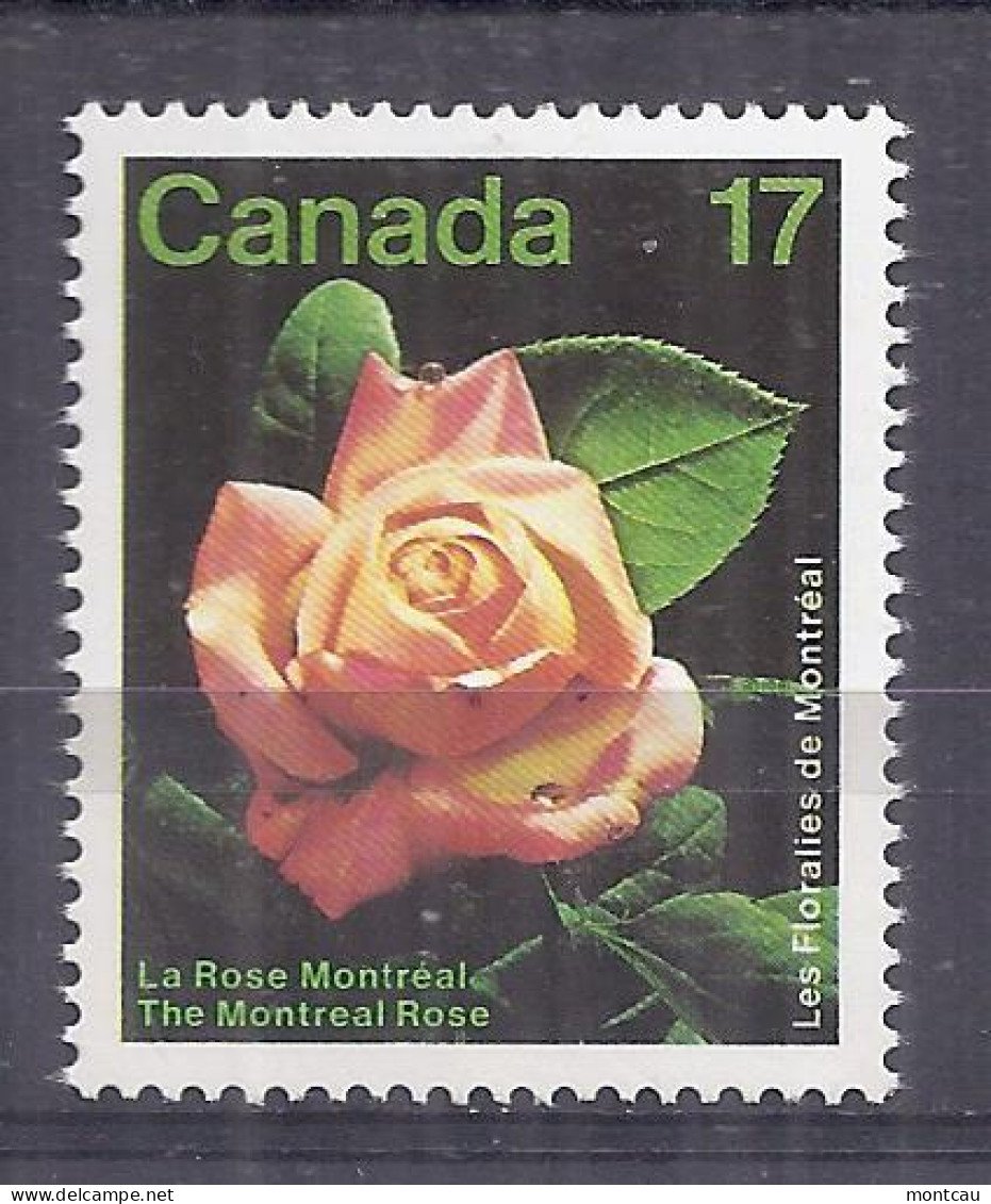 Canada 1981. Rosa De Montreal . Sc=896 (**) - Neufs