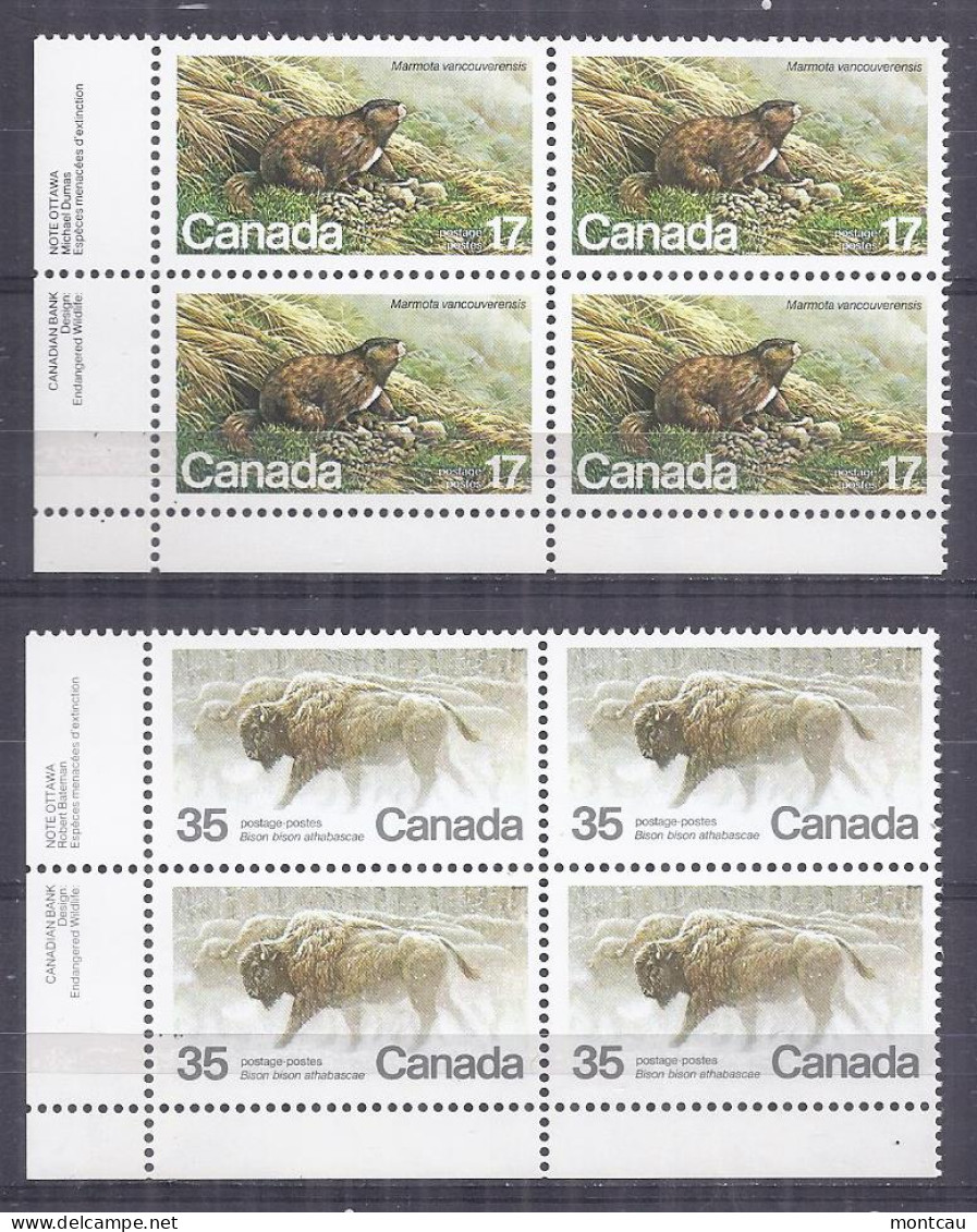 Canada 1981. Fauna En Peligro . Sc=883 (**) - Unused Stamps