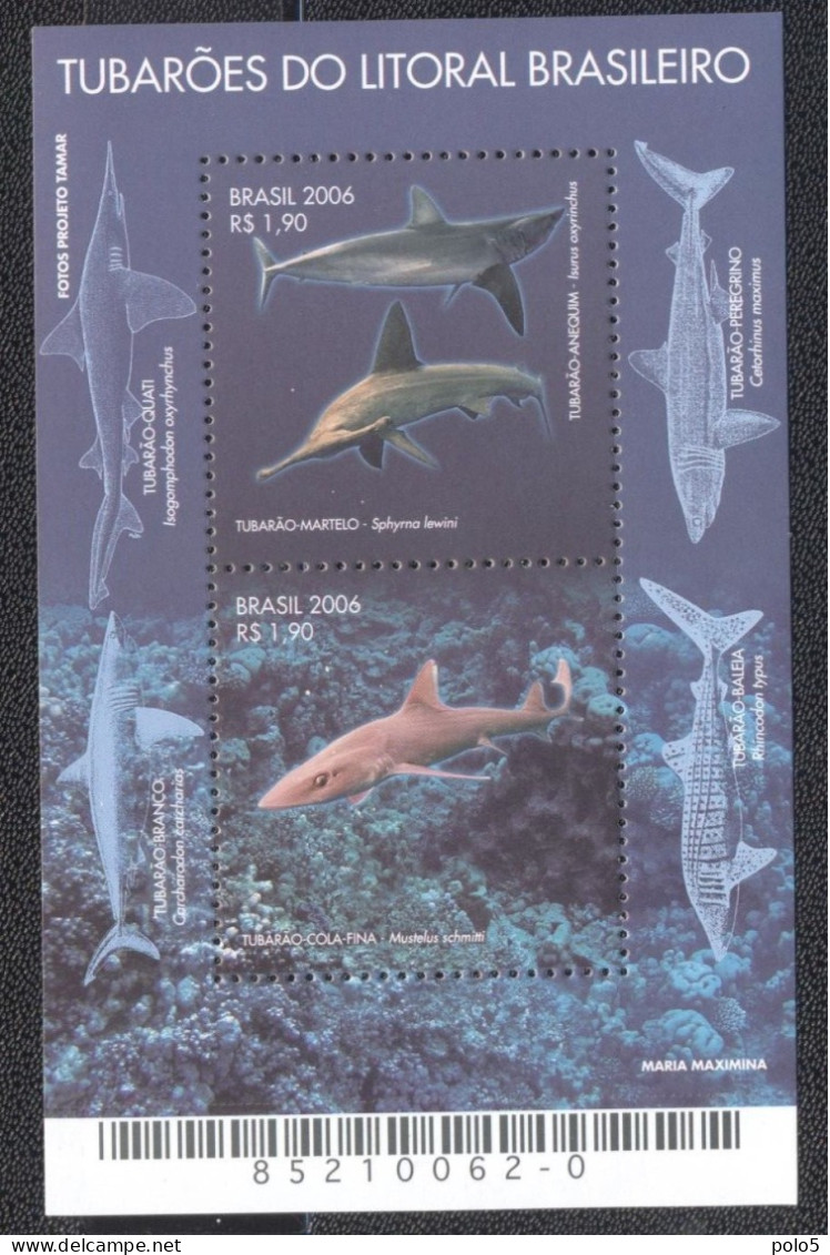 Brazil 2006-Sharks From Brazilian Coast M/Sheet - Ungebraucht