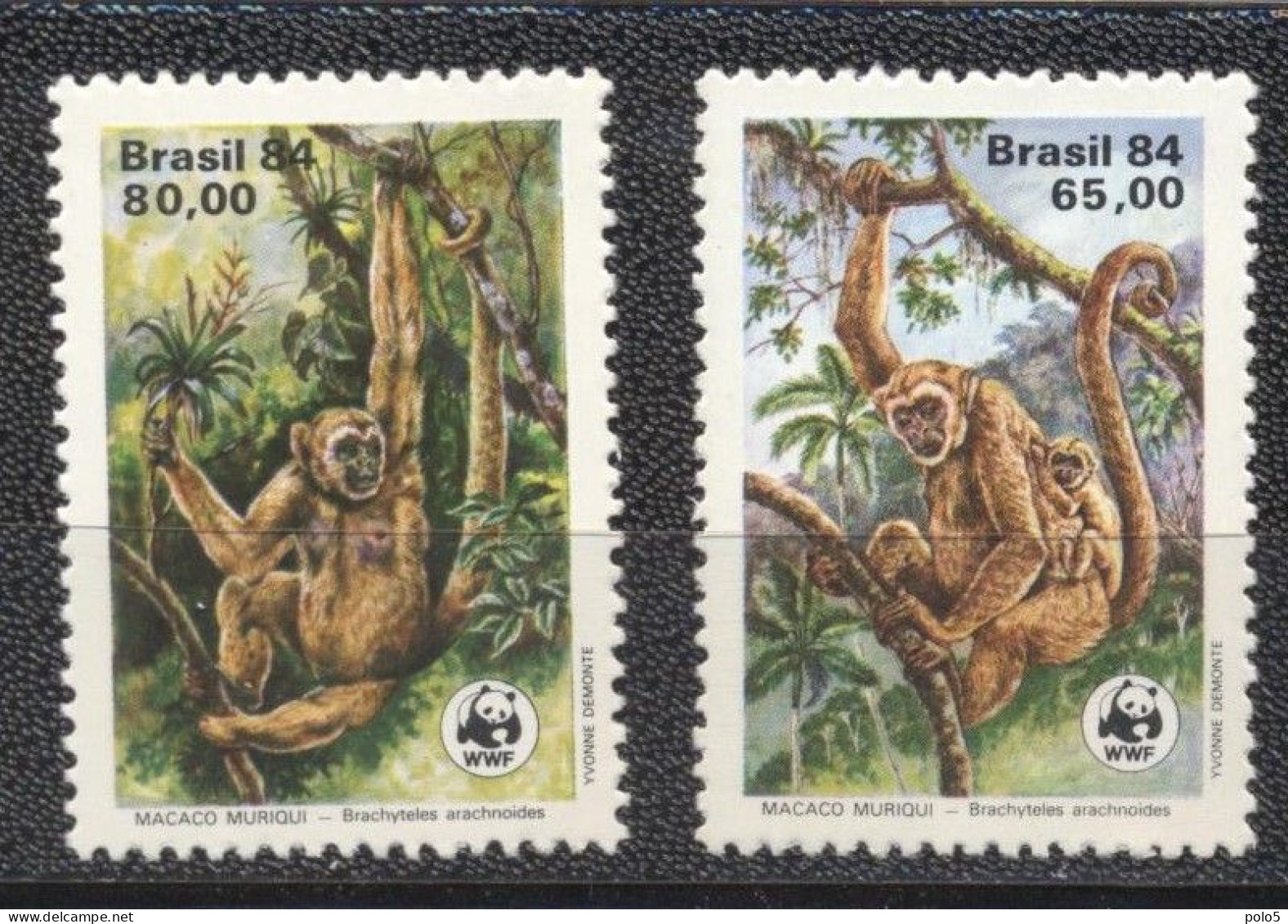 Brazil 1984-Wildlife Preservation Wooly Spider Monkey Set (2v) - Ungebraucht