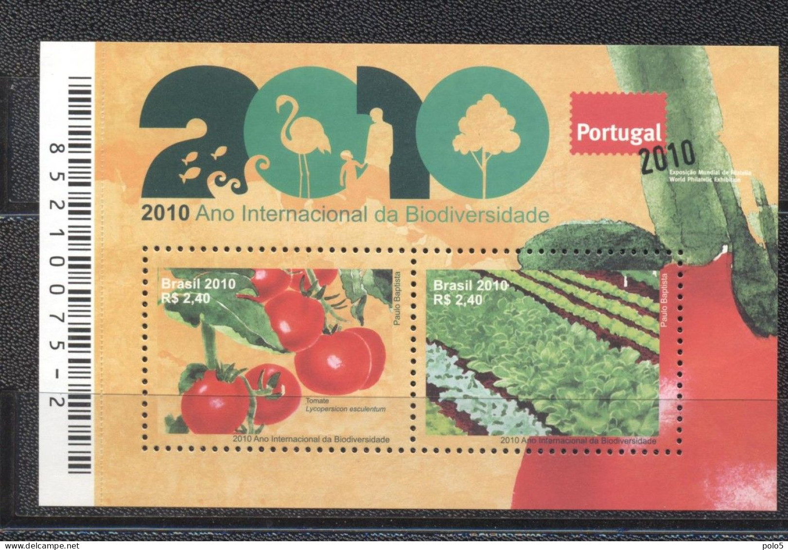 Brazil 2010-International Year Of Biodiversty- Agroecology And Organic Farming M/Sheet - Ungebraucht