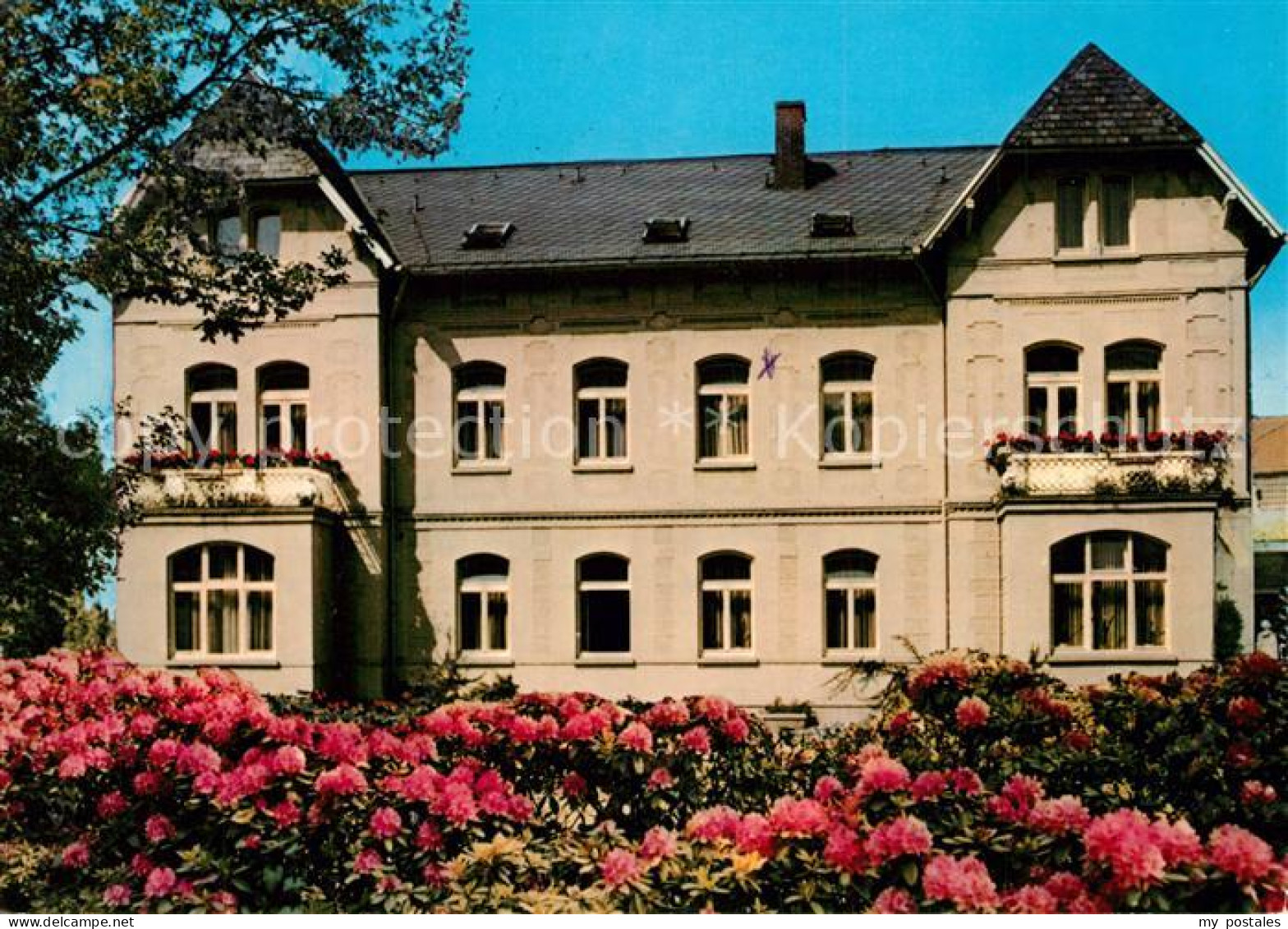 73229767 Bad Nenndorf Posterholungsheim Rhododendren Bad Nenndorf - Bad Nenndorf