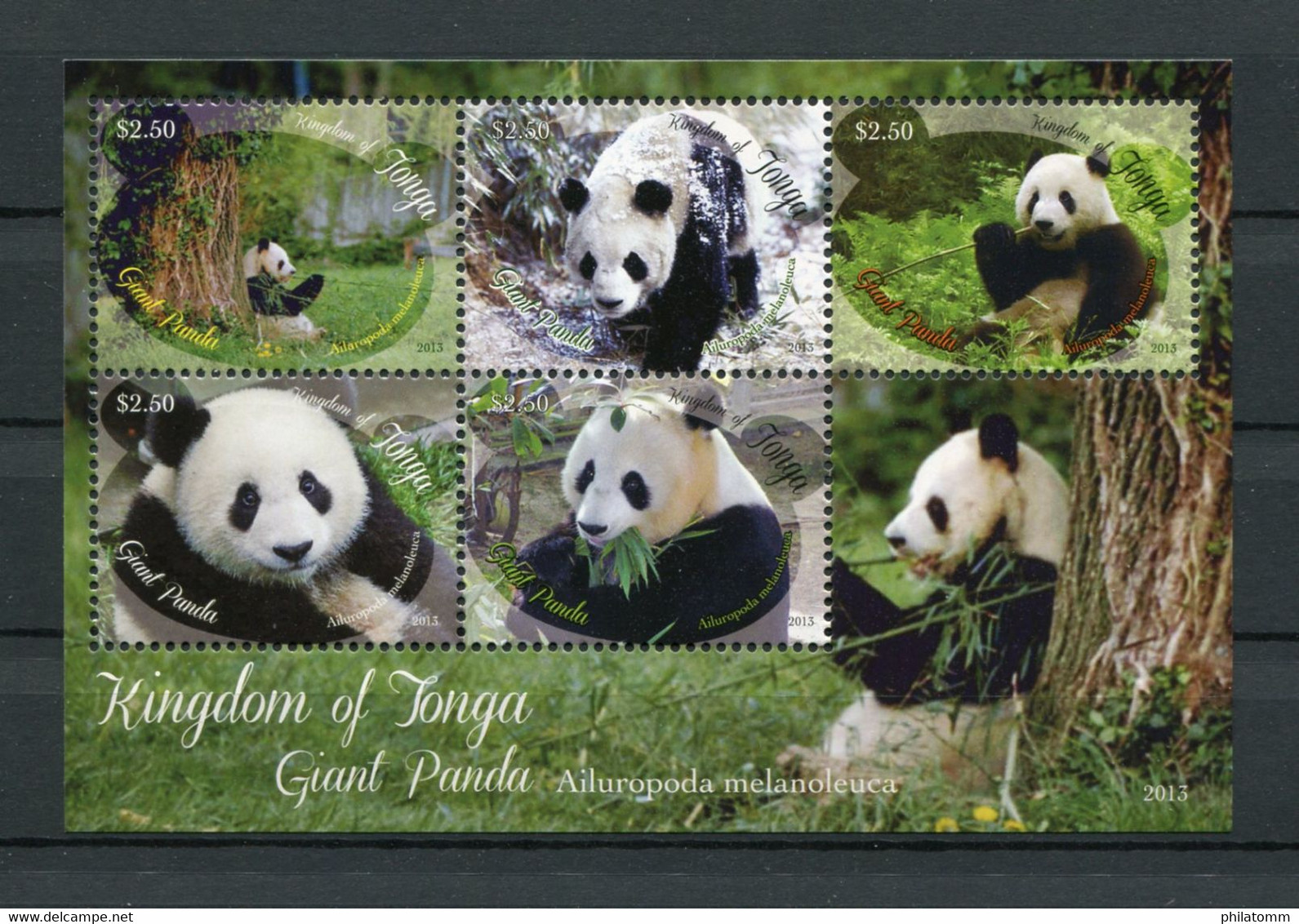 Tonga - Block Nr. 68 - "Riesenpanda" ** / MNH (aus Dem Jahr 2013) - Bären