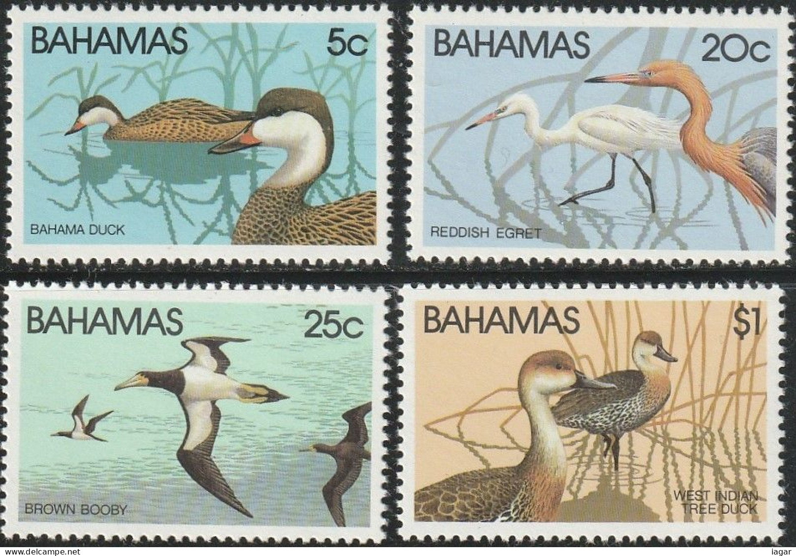 THEMATIC WILDLIFE:  1st SERIES, BIRDS.  BAHAMAS PINTAIL, REDDISH EGRET, BROWN BOOBY, WHISTLING DUCK   4v+MS -  BAHAMAS - Albatros