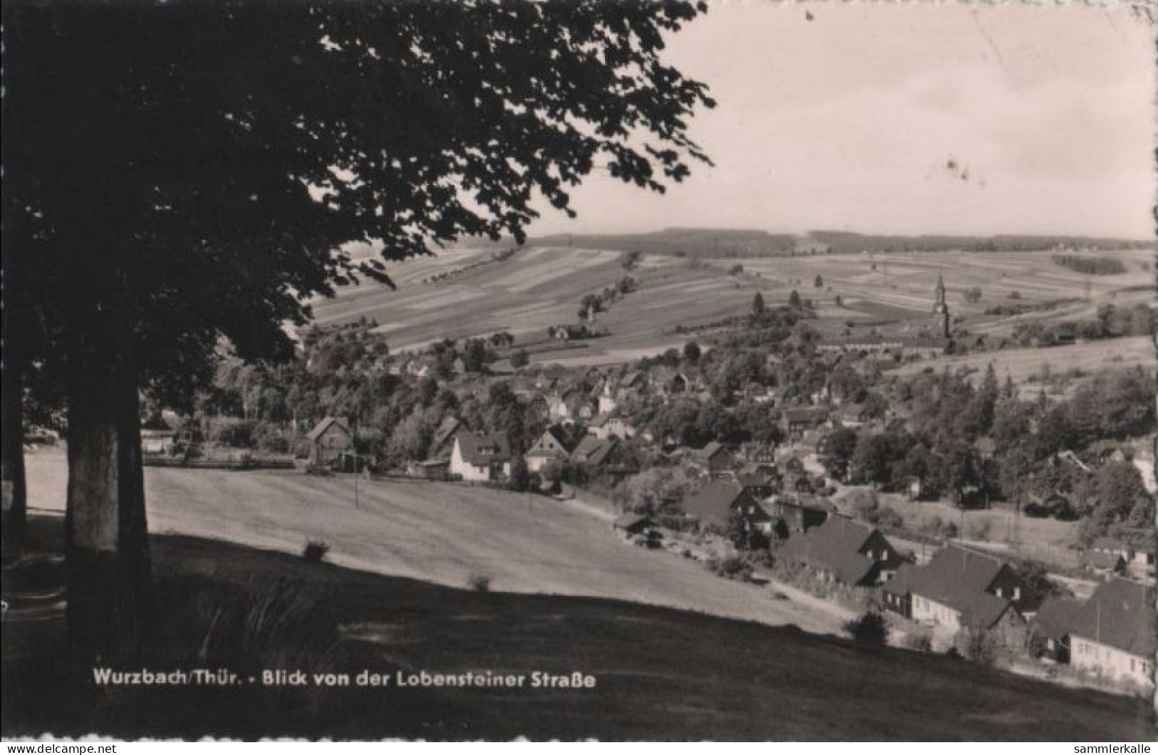 88040 - Wurzbach - Blick Von Der Lobensteiner Strasse - 2002 - Wurzbach