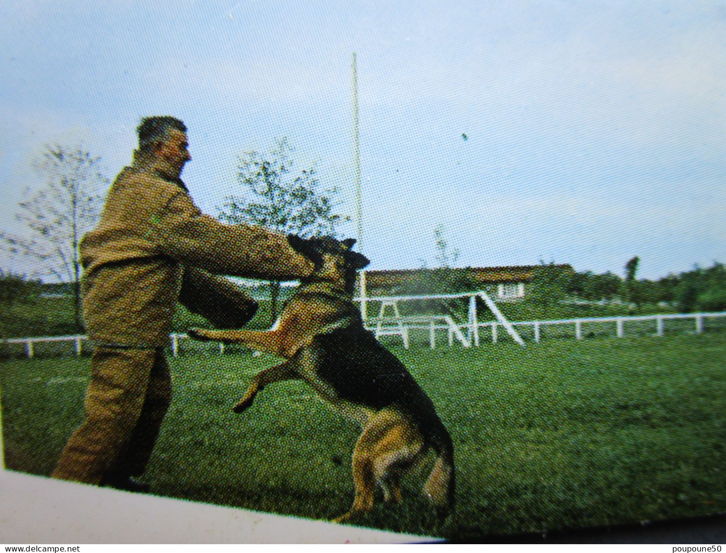 CP 46 Lot GRAMAT - Chenil central de la gendarmerie " Le Dressage de ces chiens auxiliaires de nos Gendarmes " 1969